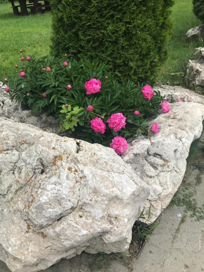 Vila Vraja Muntelui موغيتْشي دي يوس المظهر الخارجي الصورة